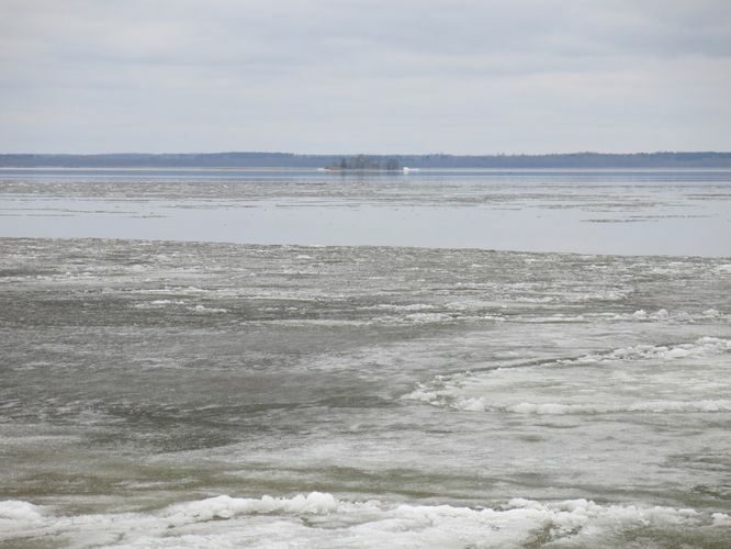 Maakond: Tartumaa Veekogu nimi: Võrtsjärv Pildistamise aeg: aprill 2013 Pildistaja: H. Timm Pildistamise koht: Limnoloogia Asimuut: