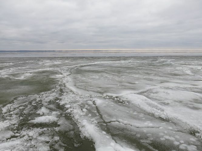 Maakond: Tartumaa Veekogu nimi: Võrtsjärv Pildistamise aeg: aprill 2013 Pildistaja: H. Timm Pildistamise koht: Limnoloogia Asimuut: