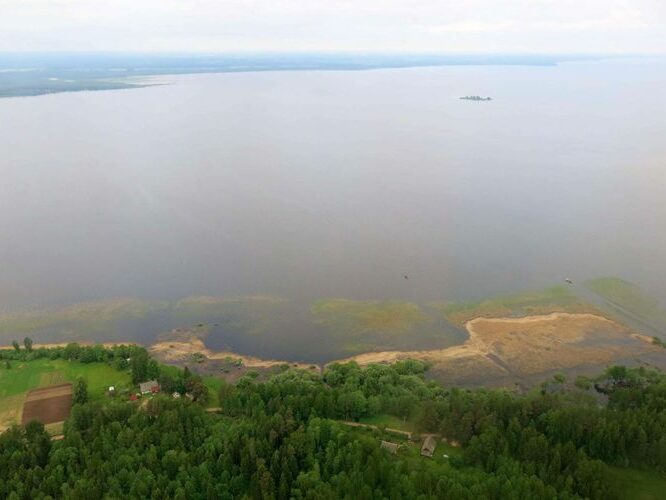 Maakond: Tartumaa Veekogu nimi: Võrtsjärv Pildistamise aeg: 29. mai 2013 Pildistaja: H. Timm Pildistamise koht: aerofoto Asimuut: