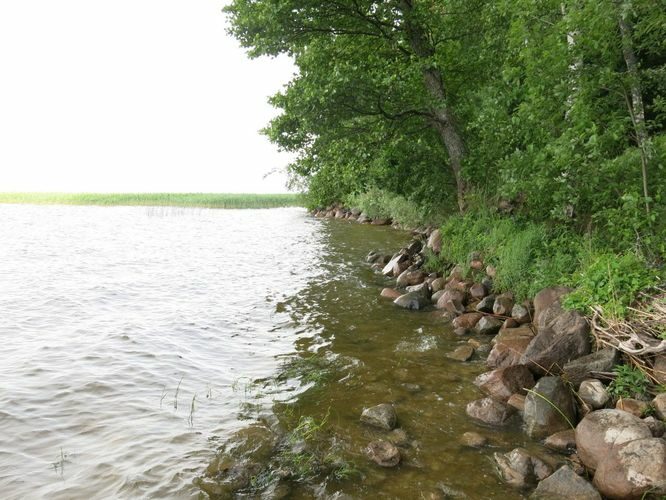 Maakond: Tartumaa Veekogu nimi: Võrtsjärv Pildistamise aeg: juuni 2013 Pildistaja: H. Timm Pildistamise koht: Limnoloogia Asimuut: