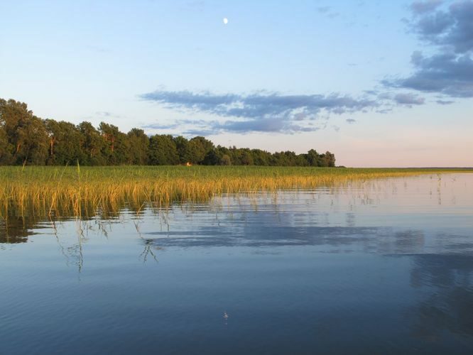 Maakond: Tartumaa Veekogu nimi: Võrtsjärv Pildistamise aeg: 19. juuni 2013 Pildistaja: H. Timm Pildistamise koht: Limnoloogia Asimuut: