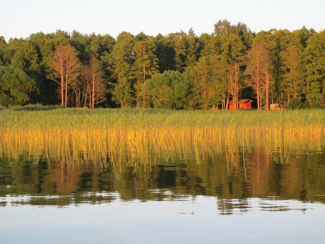 Maakond: Tartumaa Veekogu nimi: Võrtsjärv Pildistamise aeg: 19. juuni 2013 Pildistaja: H. Timm Pildistamise koht: Limnoloogia Asimuut: