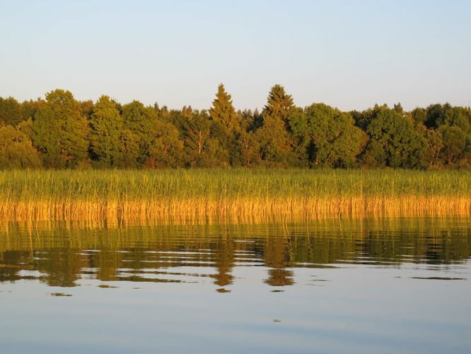 Maakond: Tartumaa Veekogu nimi: Võrtsjärv Pildistamise aeg: 19. juuni 2013 Pildistaja: H. Timm Pildistamise koht: Limnoloogia Asimuut: