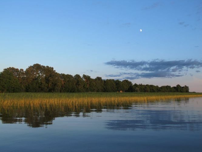 Maakond: Tartumaa Veekogu nimi: Võrtsjärv Pildistamise aeg: 19. juuni 2013 Pildistaja: H. Timm Pildistamise koht: Limnoloogia Asimuut: