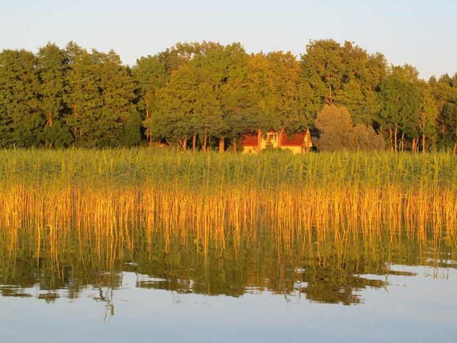 Maakond: Tartumaa Veekogu nimi: Võrtsjärv Pildistamise aeg: 19. juuni 2013 Pildistaja: H. Timm Pildistamise koht: Limnoloogia Asimuut: