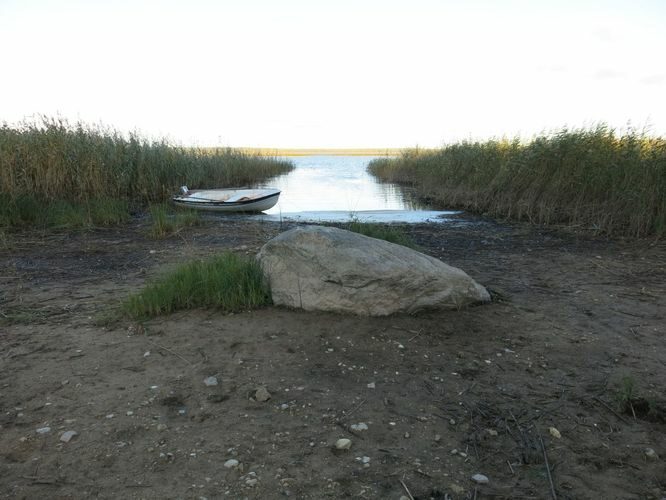 Maakond: Tartumaa Veekogu nimi: Võrtsjärv Pildistamise aeg: 26. september 2013 Pildistaja: H. Timm Pildistamise koht: Arali Asimuut: