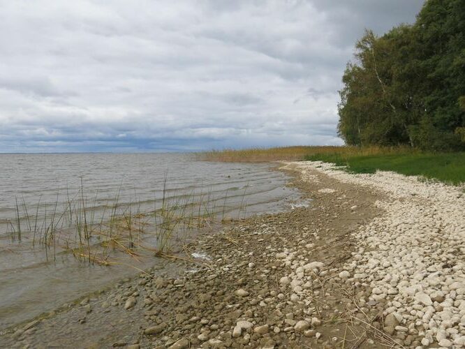 Maakond: Tartumaa Veekogu nimi: Võrtsjärv Pildistamise aeg: 30. september 2013 Pildistaja: H. Timm Pildistamise koht: Limnoloogia - Sapi Asimuut: