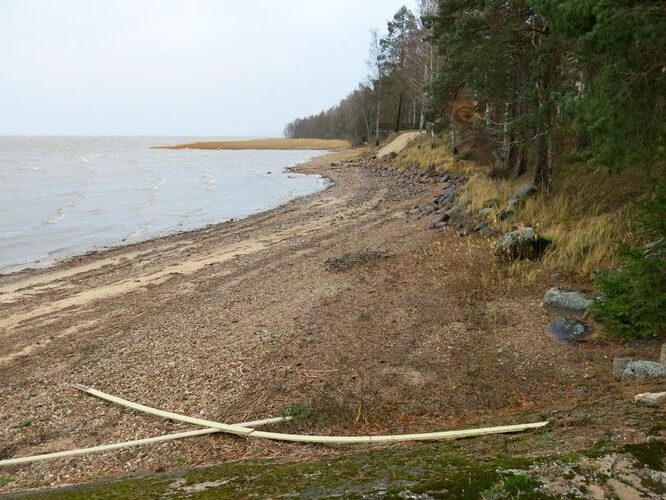 Maakond: Tartumaa Veekogu nimi: Võrtsjärv Pildistamise aeg: 29. oktoober 2013 Pildistaja: H. Timm Pildistamise koht: Limnoloogia Asimuut: