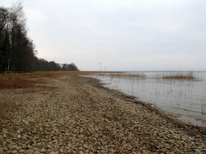 Maakond: Tartumaa Veekogu nimi: Võrtsjärv Pildistamise aeg: november 2013 Pildistaja: H. Timm Pildistamise koht: Petseri Asimuut: