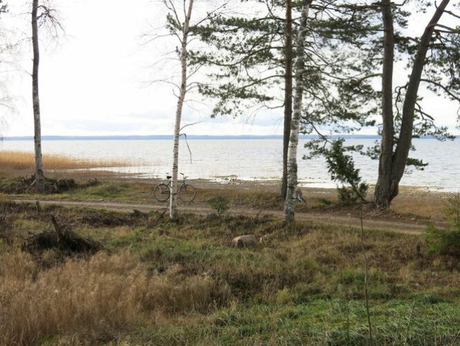 Maakond: Tartumaa Veekogu nimi: Võrtsjärv Pildistamise aeg: 14. november 2013 Pildistaja: H. Timm Pildistamise koht: Renni nukk Asimuut: