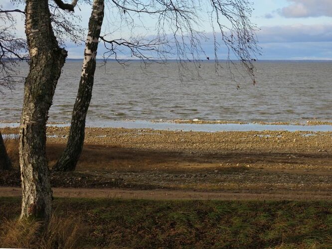 Maakond: Tartumaa Veekogu nimi: Võrtsjärv Pildistamise aeg: 14. november 2013 Pildistaja: H. Timm Pildistamise koht: Renni nukk Asimuut: