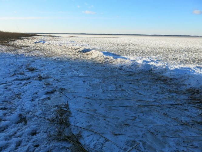 Maakond: Tartumaa Veekogu nimi: Võrtsjärv Pildistamise aeg: 2. detsember 2013 Pildistaja: H. Timm Pildistamise koht: Petseri Asimuut: