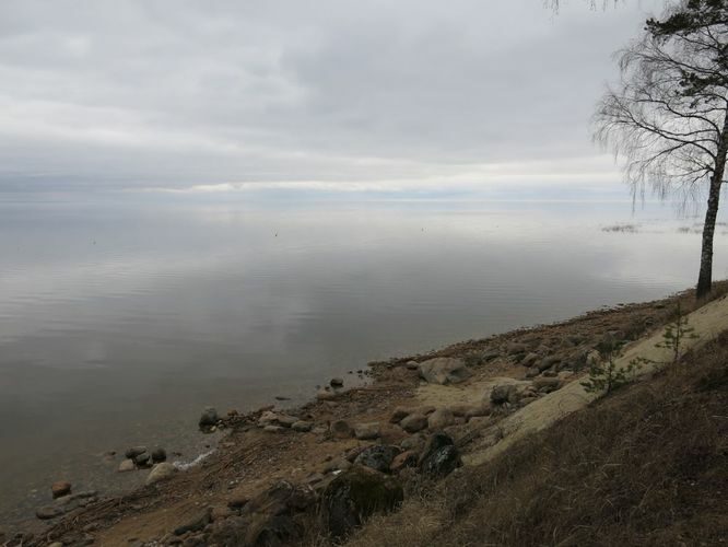 Maakond: Tartumaa Veekogu nimi: Võrtsjärv Pildistamise aeg: 5. aprill 2014 Pildistaja: H. Timm Pildistamise koht: Limnoloogia Asimuut: