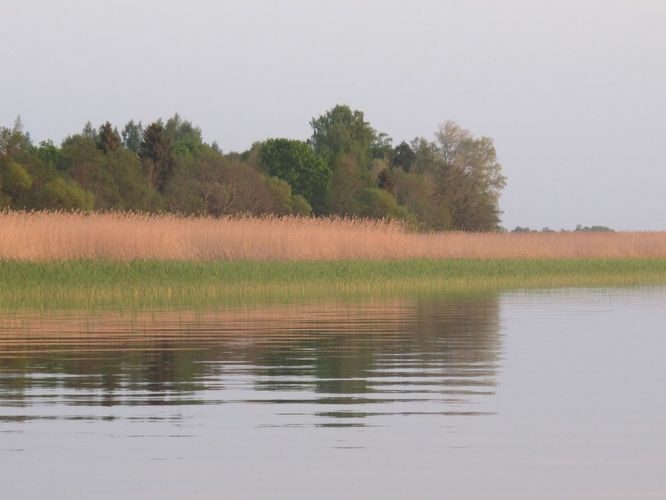 Maakond: Tartumaa Veekogu nimi: Võrtsjärv Pildistamise aeg: 18. mai 2014 Pildistaja: H. Timm Pildistamise koht: Limnoloogia Asimuut: