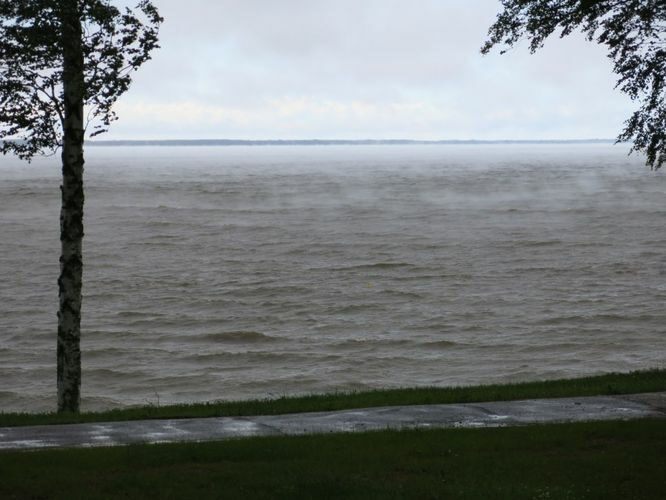 Maakond: Tartumaa Veekogu nimi: Võrtsjärv Pildistamise aeg: juuni 2014 Pildistaja: H. Timm Pildistamise koht: Limnoloogia Asimuut: