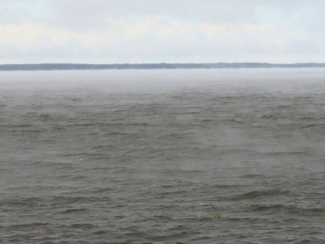 Maakond: Tartumaa Veekogu nimi: Võrtsjärv Pildistamise aeg: juuni 2014 Pildistaja: H. Timm Pildistamise koht: Limnoloogia Asimuut: