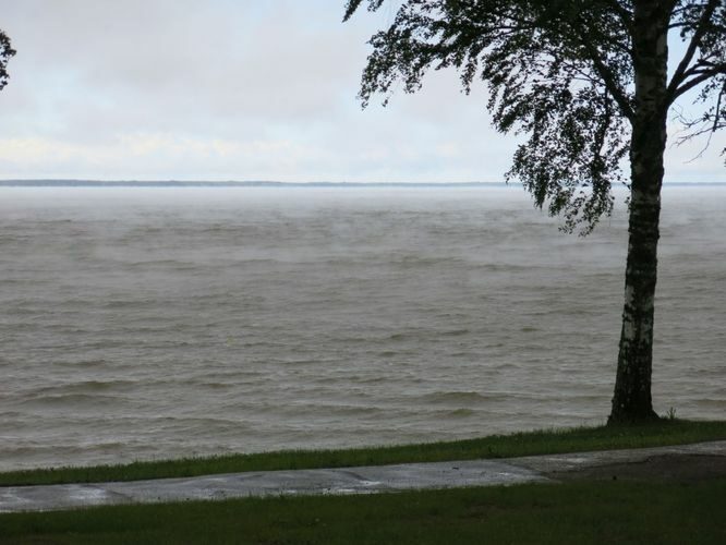 Maakond: Tartumaa Veekogu nimi: Võrtsjärv Pildistamise aeg: juuni 2014 Pildistaja: H. Timm Pildistamise koht: Limnoloogia Asimuut: