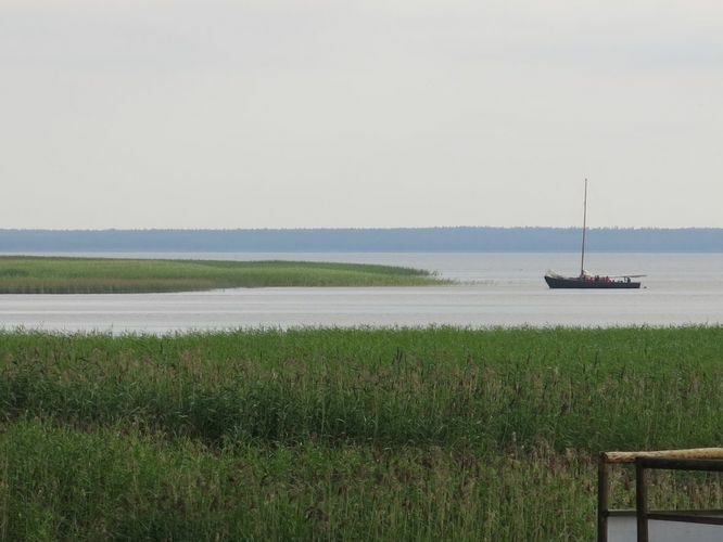 Maakond: Tartumaa Veekogu nimi: Võrtsjärv Pildistamise aeg: juuli 2014 Pildistaja: H. Timm Pildistamise koht: Limnoloogia Asimuut: