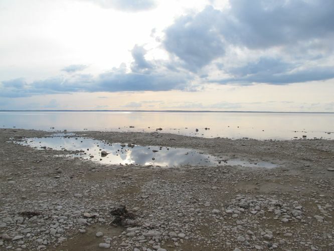 Maakond: Tartumaa Veekogu nimi: Võrtsjärv Pildistamise aeg: 24. august 2014 Pildistaja: H. Timm Pildistamise koht: Renni nukk Asimuut: