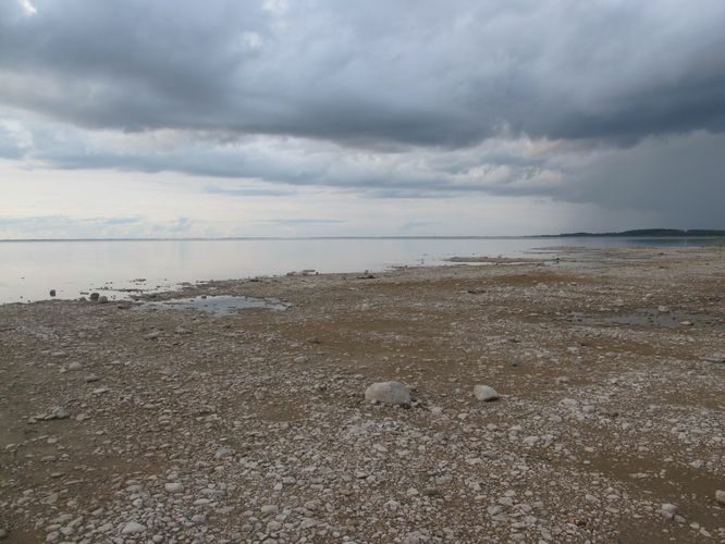 Maakond: Tartumaa Veekogu nimi: Võrtsjärv Pildistamise aeg: 24. august 2014 Pildistaja: H. Timm Pildistamise koht: Renni nukk Asimuut: