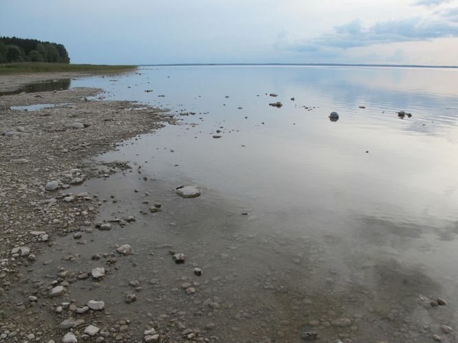 Maakond: Tartumaa Veekogu nimi: Võrtsjärv Pildistamise aeg: 24. august 2014 Pildistaja: H. Timm Pildistamise koht: Renni nukk Asimuut: