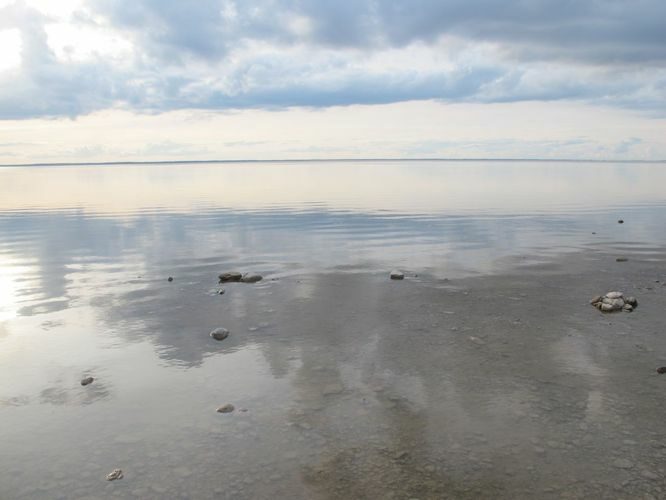 Maakond: Tartumaa Veekogu nimi: Võrtsjärv Pildistamise aeg: 24. august 2014 Pildistaja: H. Timm Pildistamise koht: Renni nukk Asimuut: