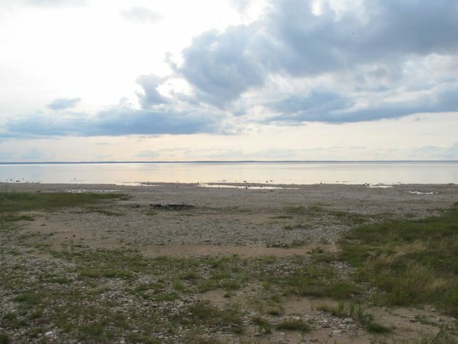 Maakond: Tartumaa Veekogu nimi: Võrtsjärv Pildistamise aeg: 24. august 2014 Pildistaja: H. Timm Pildistamise koht: Renni nukk Asimuut: