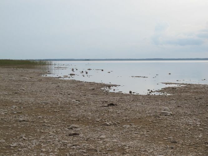 Maakond: Tartumaa Veekogu nimi: Võrtsjärv Pildistamise aeg: 24. august 2014 Pildistaja: H. Timm Pildistamise koht: Renni nukk Asimuut: