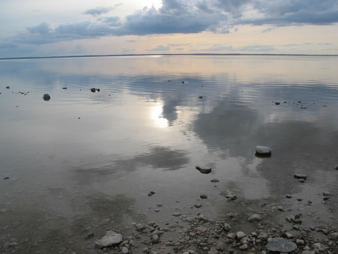 Maakond: Tartumaa Veekogu nimi: Võrtsjärv Pildistamise aeg: 24. august 2014 Pildistaja: H. Timm Pildistamise koht: Renni nukk Asimuut: