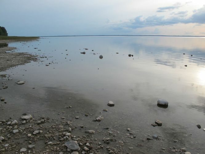 Maakond: Tartumaa Veekogu nimi: Võrtsjärv Pildistamise aeg: 24. august 2014 Pildistaja: H. Timm Pildistamise koht: Renni nukk Asimuut: