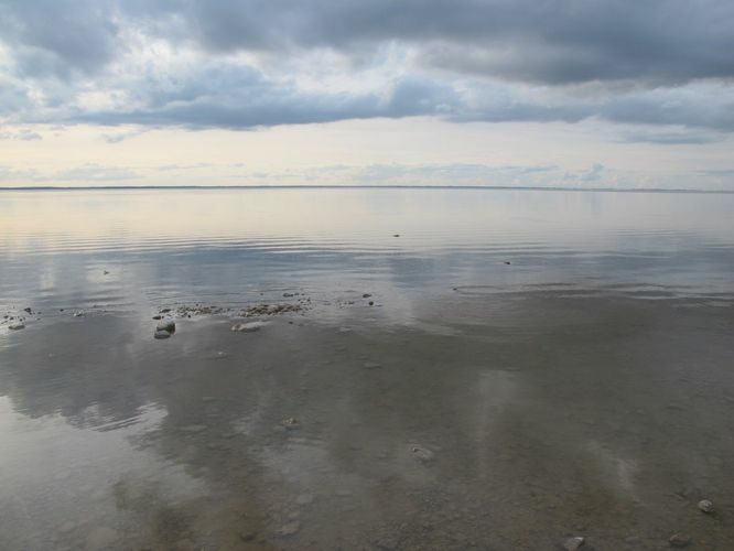 Maakond: Tartumaa Veekogu nimi: Võrtsjärv Pildistamise aeg: 24. august 2014 Pildistaja: H. Timm Pildistamise koht: Renni nukk Asimuut: