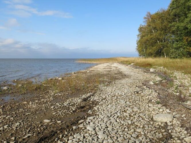 Maakond: Tartumaa Veekogu nimi: Võrtsjärv Pildistamise aeg: 26. september 2014 Pildistaja: H. Timm Pildistamise koht: Limnoloogia - Sapi Asimuut: