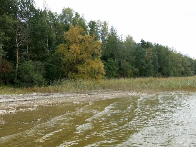 Maakond: Tartumaa Veekogu nimi: Võrtsjärv Pildistamise aeg: 26. september 2014 Pildistaja: H. Timm Pildistamise koht: Limnoloogia - Sapi Asimuut: