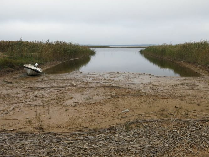 Maakond: Tartumaa Veekogu nimi: Võrtsjärv Pildistamise aeg: 26. september 2014 Pildistaja: H. Timm Pildistamise koht: Arali Asimuut: