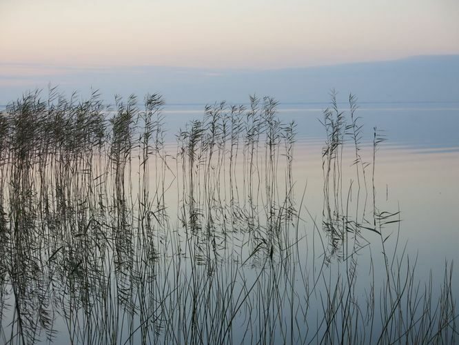 Maakond: Tartumaa Veekogu nimi: Võrtsjärv Pildistamise aeg: oktoober 2014 Pildistaja: H. Timm Pildistamise koht: Limnoloogia Asimuut: