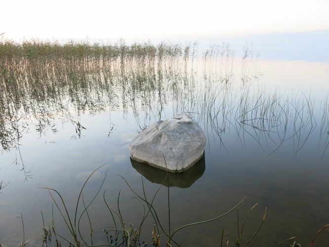 Maakond: Tartumaa Veekogu nimi: Võrtsjärv Pildistamise aeg: oktoober 2014 Pildistaja: H. Timm Pildistamise koht: Limnoloogia Asimuut: