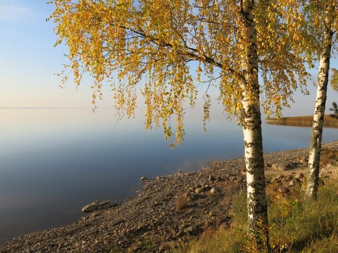 Maakond: Tartumaa Veekogu nimi: Võrtsjärv Pildistamise aeg: 10. oktoober 2014 Pildistaja: H. Timm Pildistamise koht: Limnoloogia Asimuut: