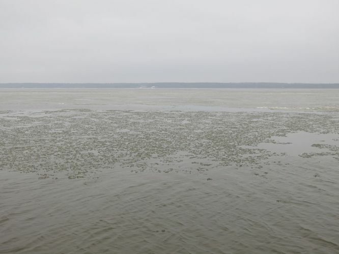 Maakond: Tartumaa Veekogu nimi: Võrtsjärv Pildistamise aeg: 26. november 2014 Pildistaja: H. Timm Pildistamise koht: teadmata Asimuut: