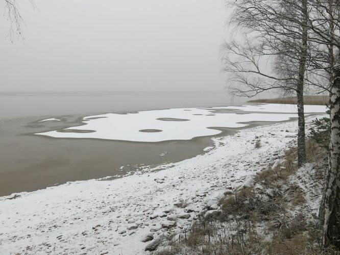 Maakond: Tartumaa Veekogu nimi: Võrtsjärv Pildistamise aeg: 26. november 2014 Pildistaja: H. Timm Pildistamise koht: teadmata Asimuut: