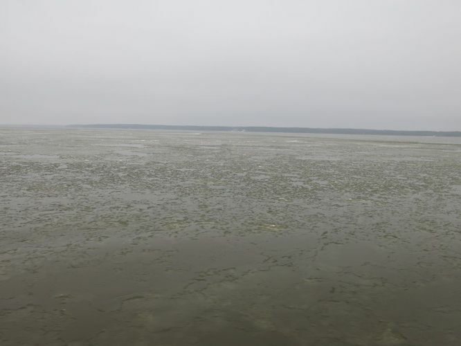 Maakond: Tartumaa Veekogu nimi: Võrtsjärv Pildistamise aeg: 26. november 2014 Pildistaja: H. Timm Pildistamise koht: teadmata Asimuut: