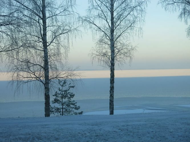 Maakond: Tartumaa Veekogu nimi: Võrtsjärv Pildistamise aeg: 2. detsember 2014 Pildistaja: H. Timm Pildistamise koht: Limnoloogia Asimuut: