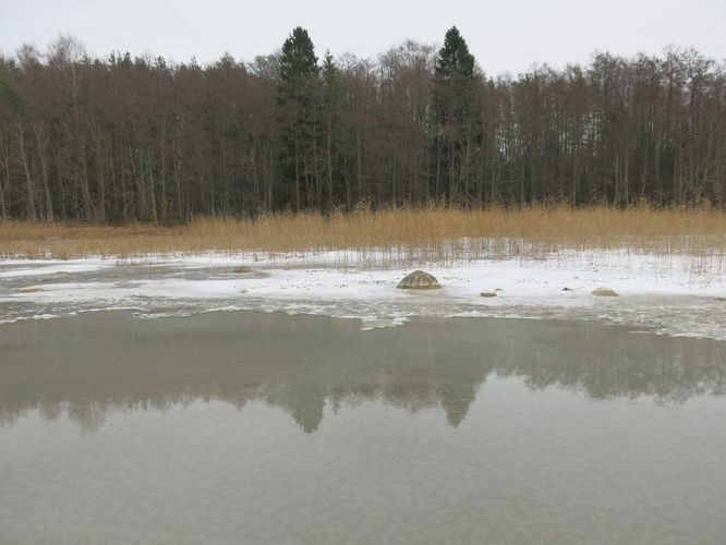 Maakond: Tartumaa Veekogu nimi: Võrtsjärv Pildistamise aeg: 4. detsember 2014 Pildistaja: H. Timm Pildistamise koht: Petseri - Limnoloogia Asimuut: