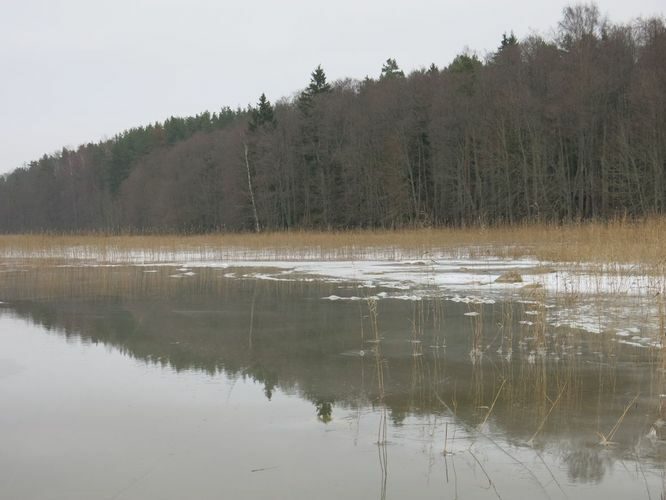 Maakond: Tartumaa Veekogu nimi: Võrtsjärv Pildistamise aeg: 4. detsember 2014 Pildistaja: H. Timm Pildistamise koht: Petseri - Limnoloogia Asimuut: