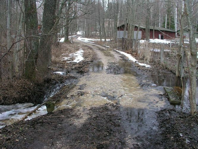 Maakond: Tartumaa Veekogu nimi: nimetu Võrtsjärve suubuv oja Pildistamise aeg: 1. aprill 2006 Pildistaja: H. Timm Pildistamise koht: teadmata Asimuut: