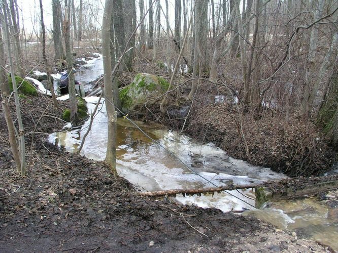 Maakond: Tartumaa Veekogu nimi: nimetu Võrtsjärve suubuv oja Pildistamise aeg: 1. aprill 2006 Pildistaja: H. Timm Pildistamise koht: teadmata Asimuut: