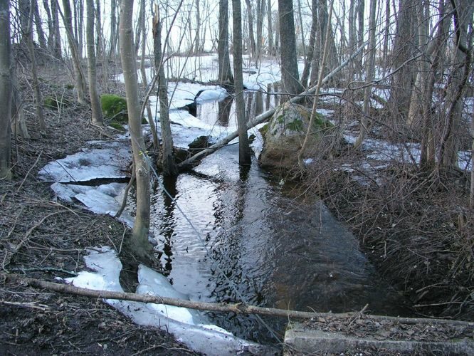 Maakond: Tartumaa Veekogu nimi: Nimetu oja, suubub Võrtsjärve Rannakülas Pildistamise aeg: 5. aprill 2005 Pildistaja: H. Timm Pildistamise koht: teadmata Asimuut: