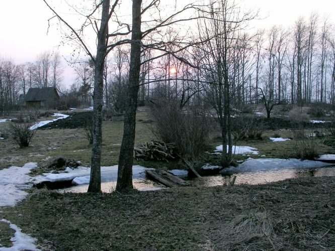 Maakond: Tartumaa Veekogu nimi: Nimetu oja, suubub Võrtsjärve Rannakülas Pildistamise aeg: 5. aprill 2005 Pildistaja: H. Timm Pildistamise koht: teadmata Asimuut: