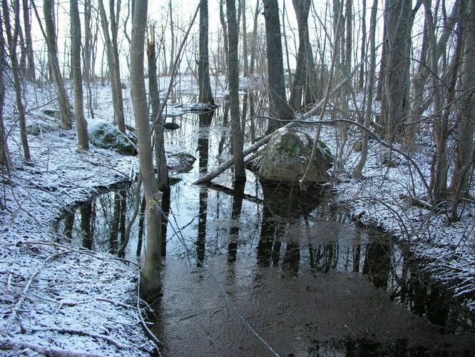 Maakond: Tartumaa Veekogu nimi: Nimetu oja, suubub Võrtsjärve Rannakülas Pildistamise aeg: 20. aprill 2005 Pildistaja: H. Timm Pildistamise koht: teadmata Asimuut: