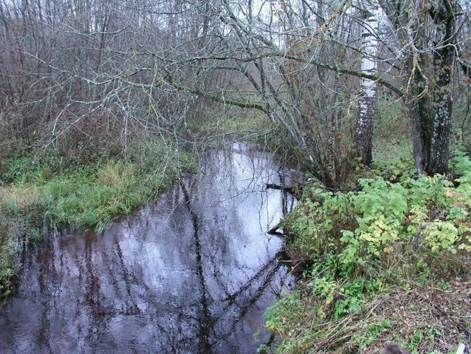 Maakond: Võrumaa Veekogu nimi: Ahelo jõgi Pildistamise aeg: 17. oktoober 2004 Pildistaja: H. Timm Pildistamise koht: teadmata Asimuut: