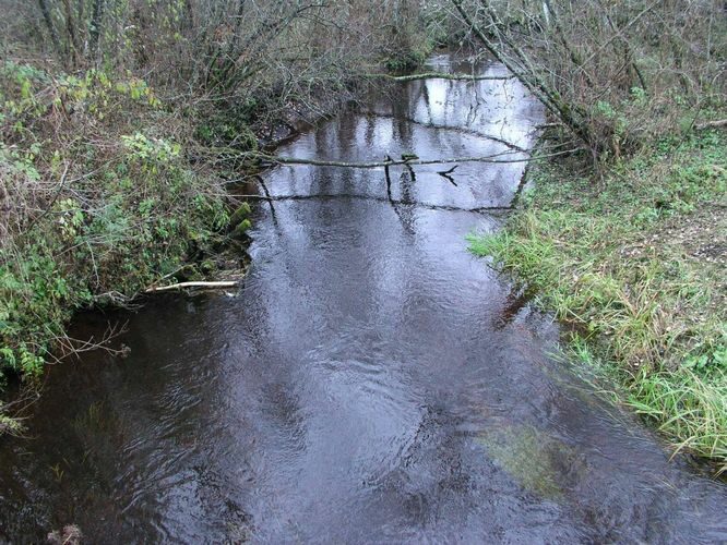 Maakond: Võrumaa Veekogu nimi: Ahelo jõgi Pildistamise aeg: 17. oktoober 2004 Pildistaja: H. Timm Pildistamise koht: teadmata Asimuut: